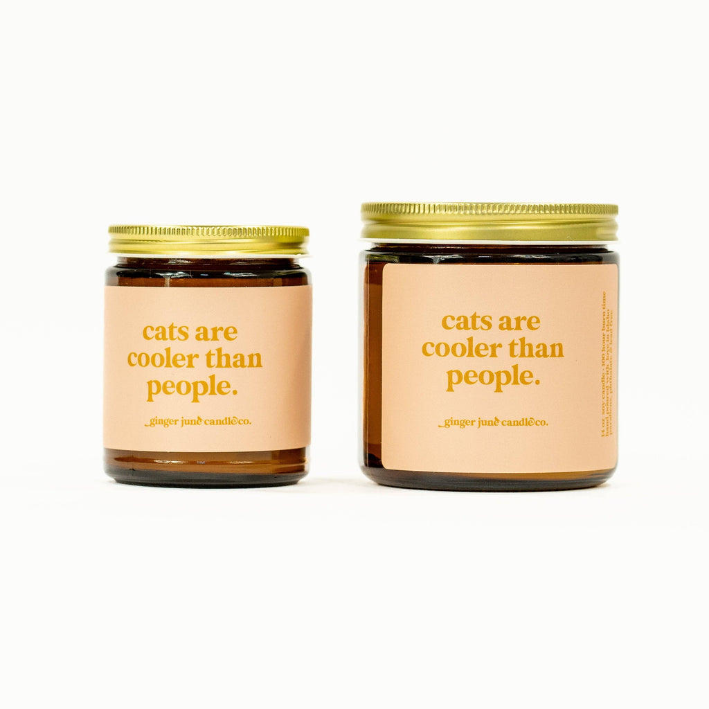cats are cooler than people • soy candle