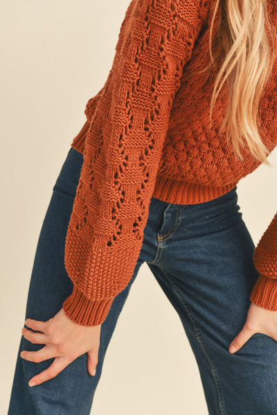 Puff Sleeve Sweater - Brick Brown