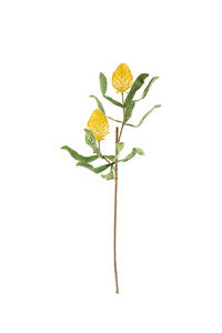 Cone Shape Floral Stem