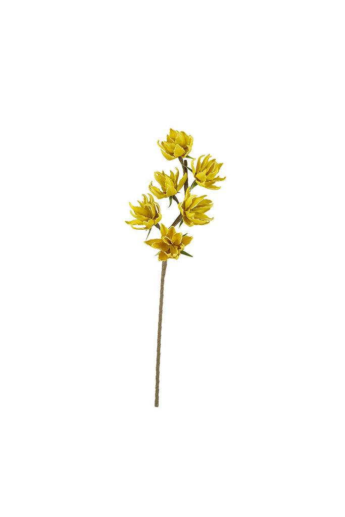 Yellow Floral Stem