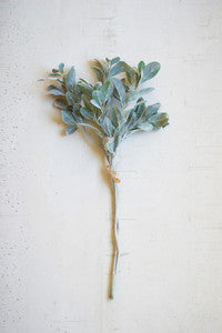 Sage Leaf Stem